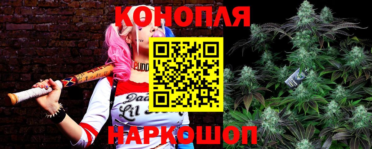 Шишки марихуана конопля  МАРИХУАНА Amnesia  Бошки Шишки планчик  Лабытнанги  Каннабис конопля  Вход с VPN 
